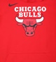 NIKE-Παιδική φούτερ μπλούζα NIKE LOGO ESSENTIAL BULLS κόκκινη