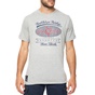 DORS-Ανδρικό t-shirt DORS γκρι με στάμπα