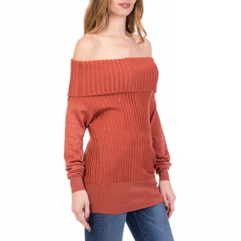SILVIAN HEACH-Γυναικείο off the shoulder WYNDHAM SILVIAN HEACH καφέ