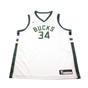 NIKE -Παιδικό αθλητικό φανελάκι NIKE SWINGMAN JERSEY-BUC λευκό 