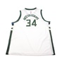 NIKE -Παιδικό αθλητικό φανελάκι NIKE SWINGMAN JERSEY-BUC λευκό 