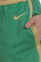 NIKE-Ανδρικό αθλητικό σορτς NIKE NBA Swingman πράσινο