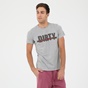 DIRTY LAUNDRY-Ανδρικό t-shirt DIRTY LAUNDRY γκρι