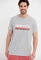 FUNKY BUDDHA-Ανδρικό t-shirt FUNKY BUDDHA γκρι