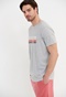 FUNKY BUDDHA-Ανδρικό t-shirt FUNKY BUDDHA γκρι