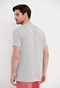 FUNKY BUDDHA-Ανδρικό t-shirt FUNKY BUDDHA γκρι
