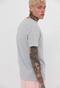 FUNKY BUDDHA-Ανδρικό t-shirt FUNKY BUDDHA γκρι