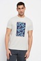 FUNKY BUDDHA-Ανδρικό t-shirt FUNKY BUDDHA γκρι