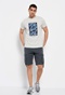 FUNKY BUDDHA-Ανδρικό t-shirt FUNKY BUDDHA γκρι