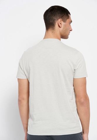 FUNKY BUDDHA-Ανδρικό t-shirt FUNKY BUDDHA γκρι