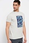 FUNKY BUDDHA-Ανδρικό t-shirt FUNKY BUDDHA γκρι