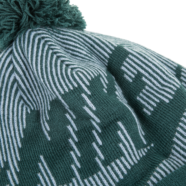 Γυναικείος σκούφος NIKE BEANIE πράσινος Γυναικεία