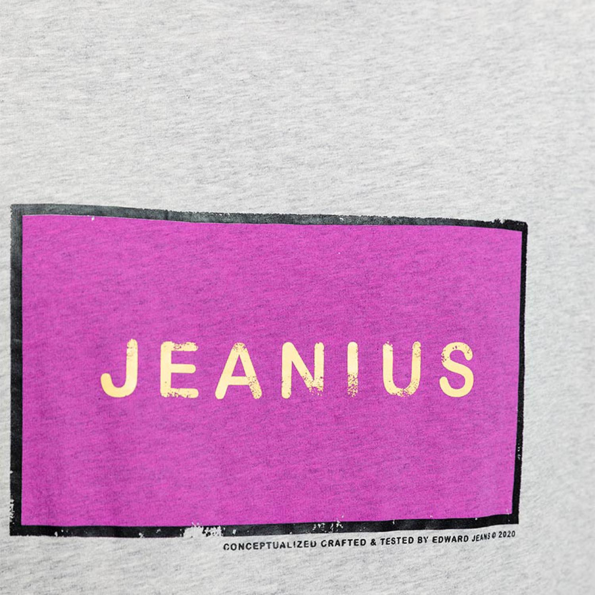 Ανδρικό t-shirt EDWARD JEANS JEANER γκρι μελανζέ Ανδρικά