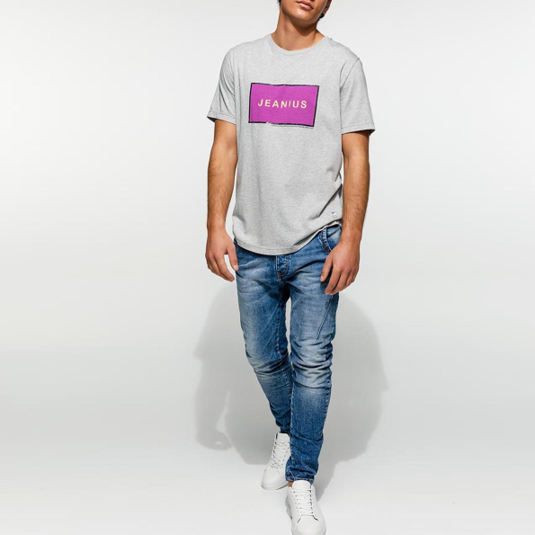 Ανδρικό t-shirt EDWARD JEANS JEANER γκρι μελανζέ Ανδρικά