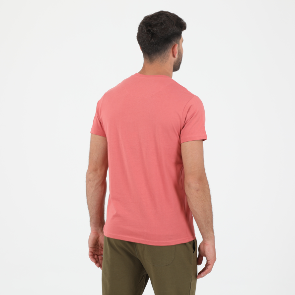 Ανδρικό t-shirt GREENWOOD T-SHIRT GRW01 FRUIT κοραλί Ανδρικά