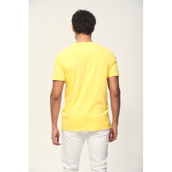 Ανδρικό t-shirt EDWARD JEANS MP-N-TOP-S22-019 FLYN κίτρινο Ανδρικά
