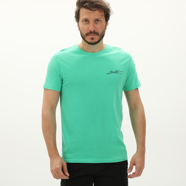 Ανδρικό t-shirt BATTERY 21231141 πράσινο