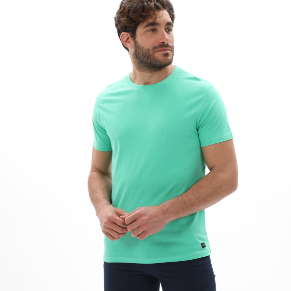 Ανδρικό t-shirt BATTERY 21231159 πράσινο Ανδρικά