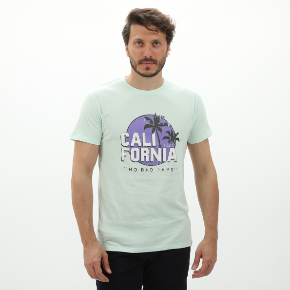 Ανδρικό t-shirt VAN HIPSTER 72164 πράσινο