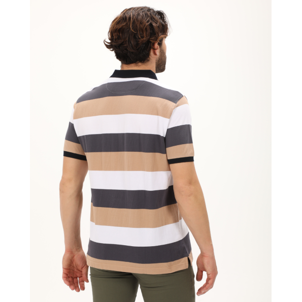 Ανδρική polo μπλούζα DORS 1134005.C01 ανθρακί μπεζ λευκή ριγέ