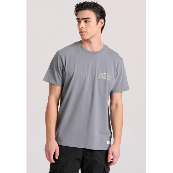 Ανδρικό t-shirt FUNKY BUDDHA FBM009-043-04 γκρι