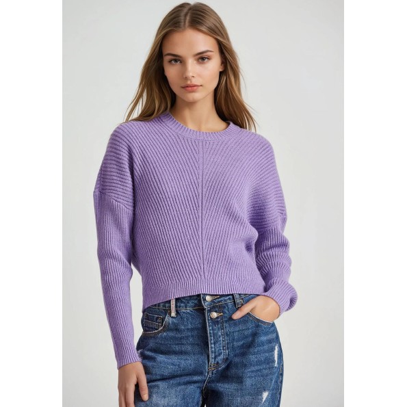 Γυναικείο πουλόβερ FUNKY BUDDHA FBL010-105-09 μοβ