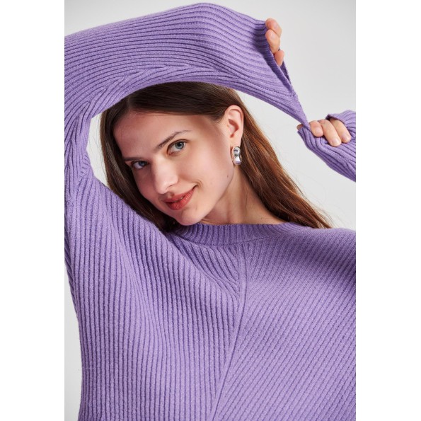 Γυναικείο πουλόβερ FUNKY BUDDHA FBL010-105-09 μοβ Γυναικεία