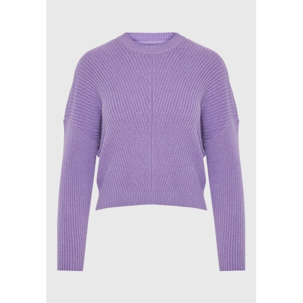 Γυναικείο πουλόβερ FUNKY BUDDHA FBL010-105-09 μοβ Γυναικεία